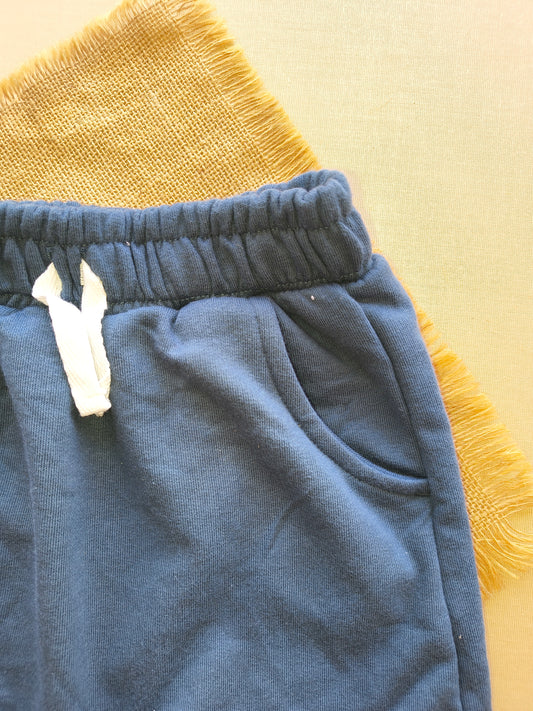 Ink Premium shorts