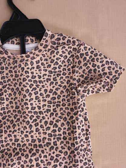 Leopard 🐆