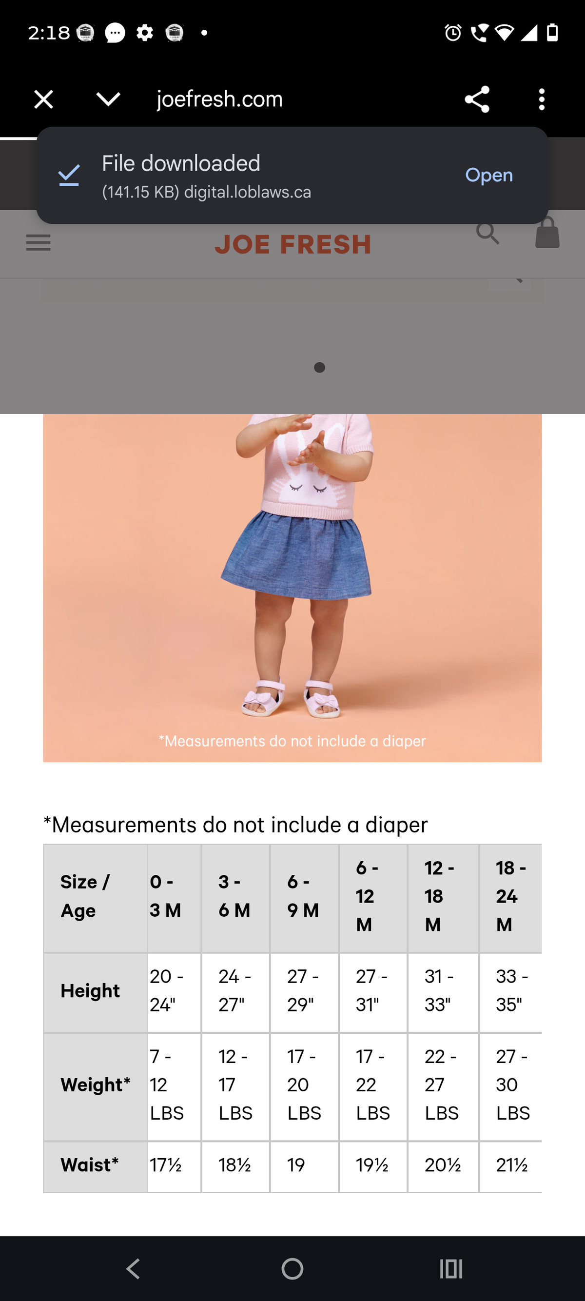 Roar Ranger footless suit