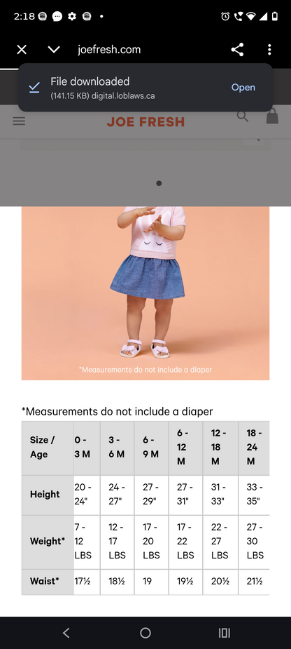 Roar Ranger footless suit