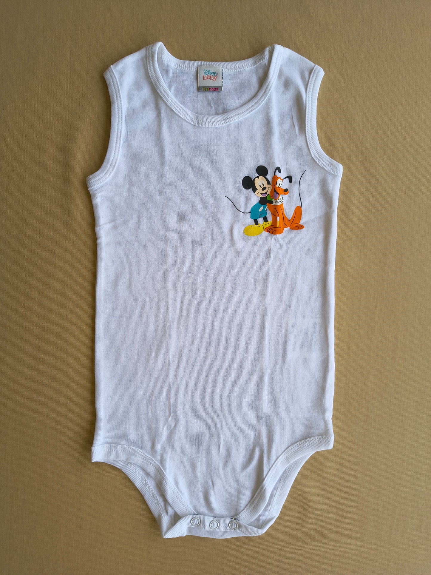 Mickey and Dude