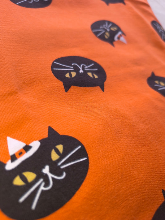 Pumpkitty