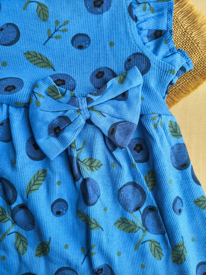 BlueBerry 🫐 Frocks